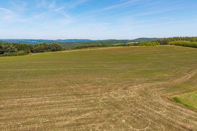 Prodej, Pole, Křečovice