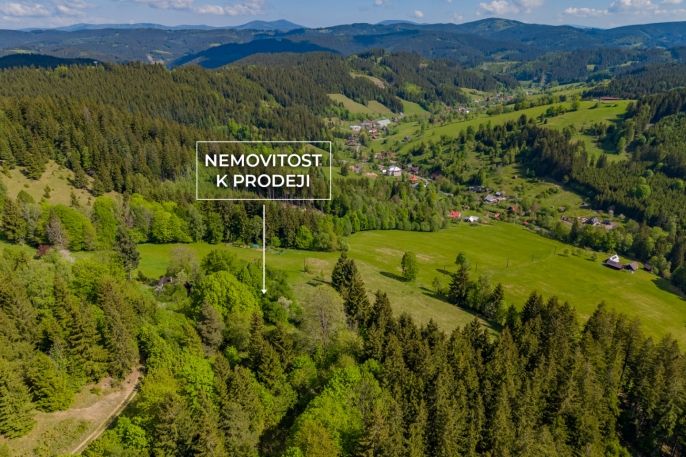 Prodej, Chalupa, Velké Karlovice