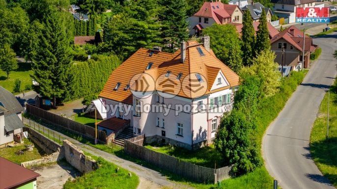 Prodej, Hotel, penzion, Velké Hamry