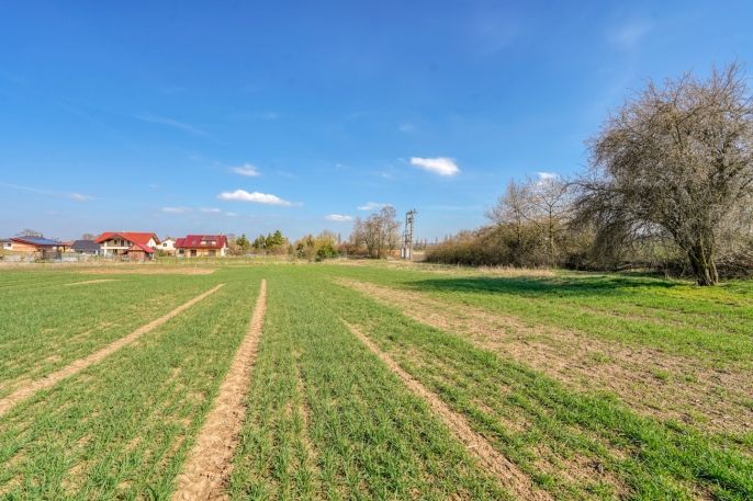 Prodej, Pozemek k bydlení, Dobřany