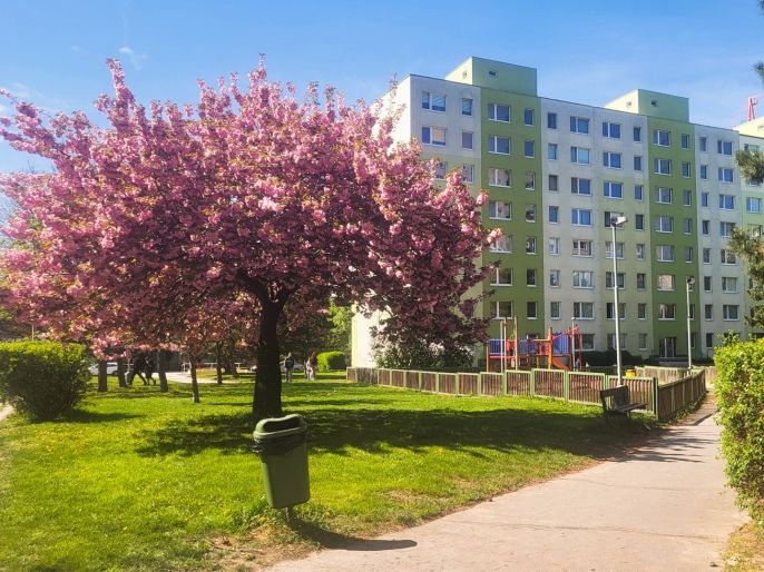 Pronájem, Byt 3+1, Praha