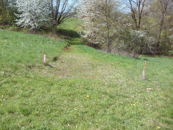 Prodej, Zahrada, Horní Bludovice