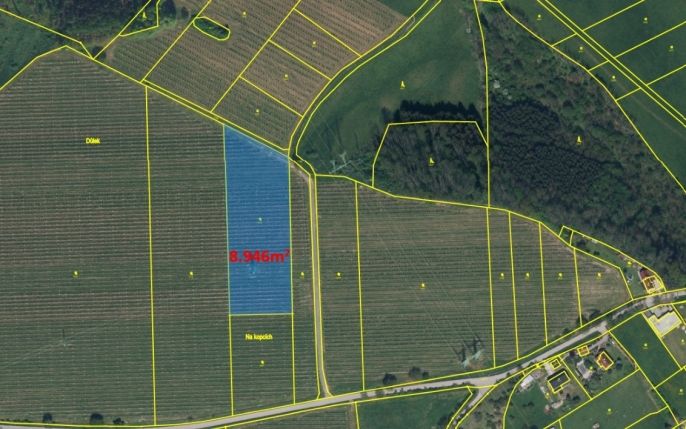 Prodej, Ovocný sad, Synkov-Slemeno