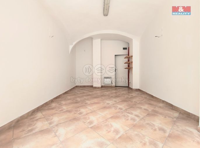 Pronájem, Obchod a služby, Slaný