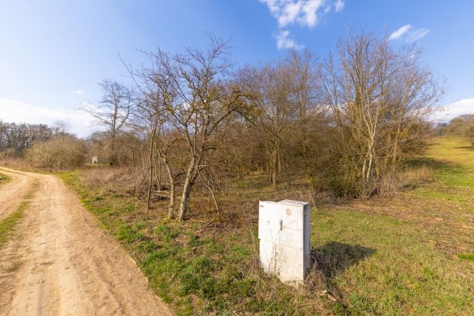 Prodej, Ovocný sad, Želešice