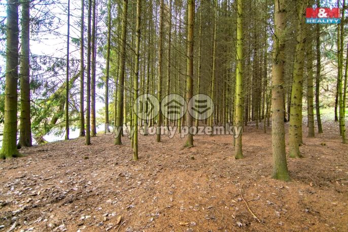 Prodej, Les, Zruč-Senec
