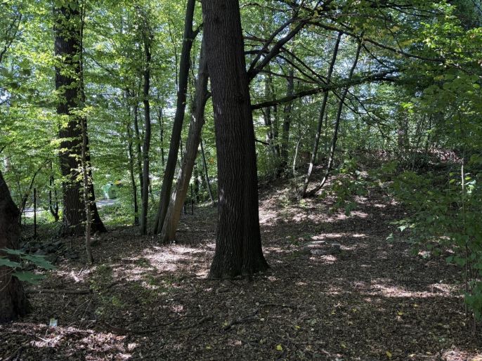 Prodej, Komerční pozemky, Řepiště