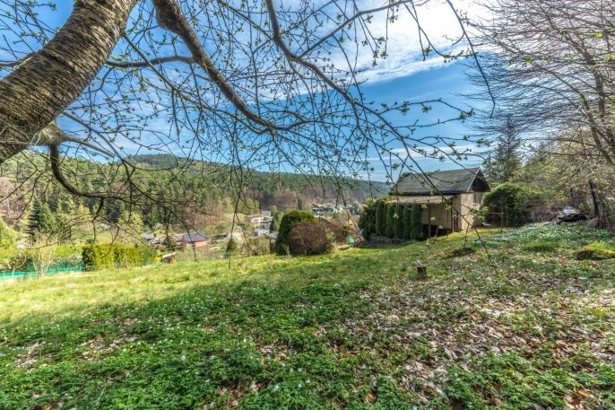 Prodej, Zahrada, Děčín