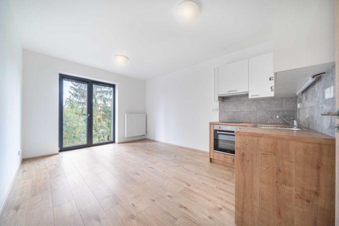 Pronájem, Byt 1+kk, Třemošná