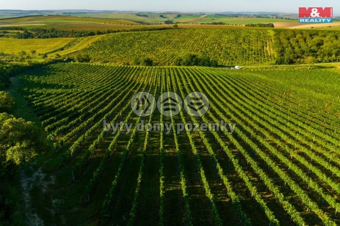 Prodej, Vinice, Šardice