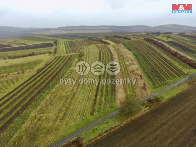 Prodej, Vinice, Dolní Dunajovice