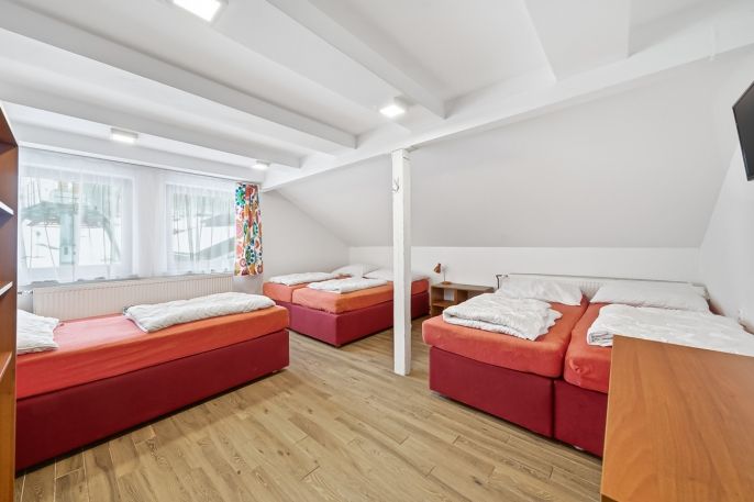 Prodej, Hotel, penzion, Čenkovice