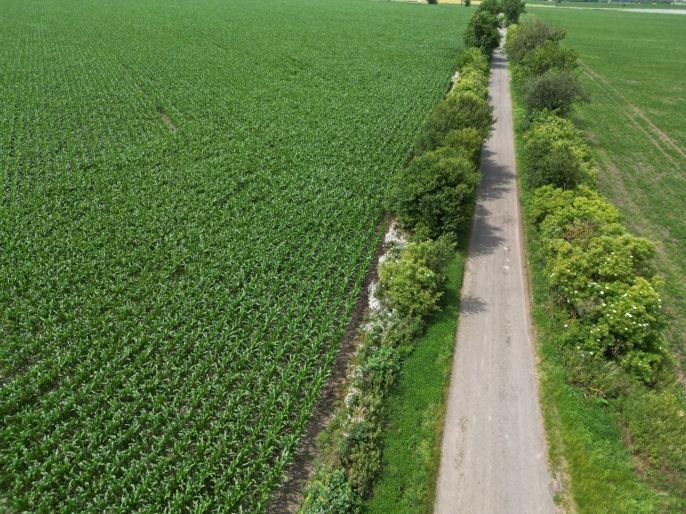 Prodej, Pole, Prostějov