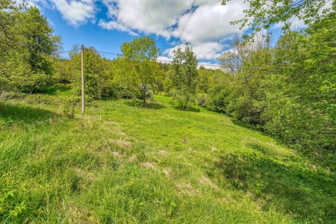 Prodej, Pozemek k bydlení, Sušice