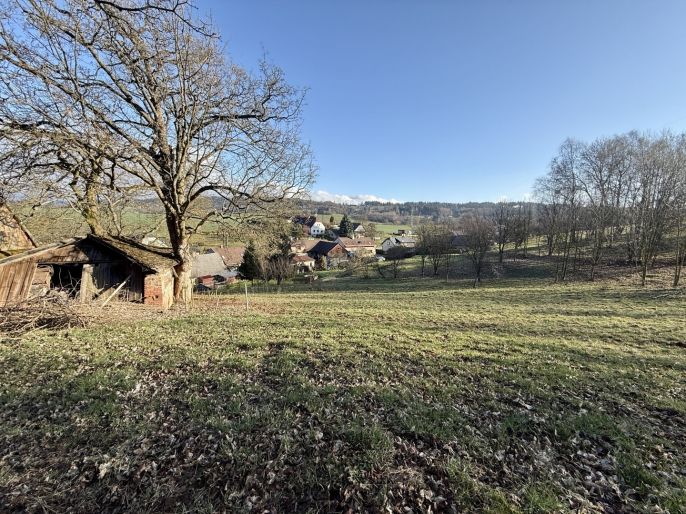 Prodej, Chalupa, Červený Kostelec