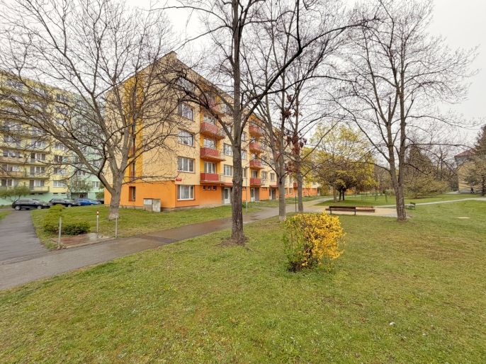 Prodej, Byt 1+kk, České Budějovice