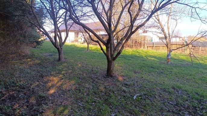 Prodej, Pozemek k bydlení, Senožaty