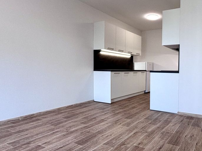 Pronájem, Byt 2+kk, Rychnov nad Kněžnou