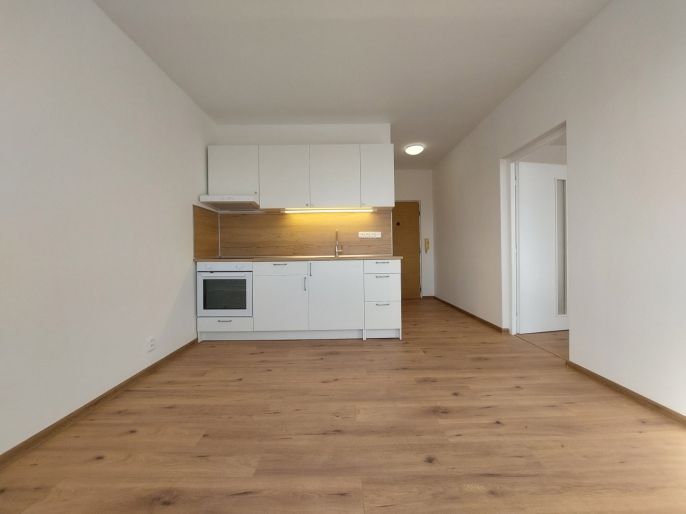 Pronájem, Byt 1+1, Klášterec nad Ohří