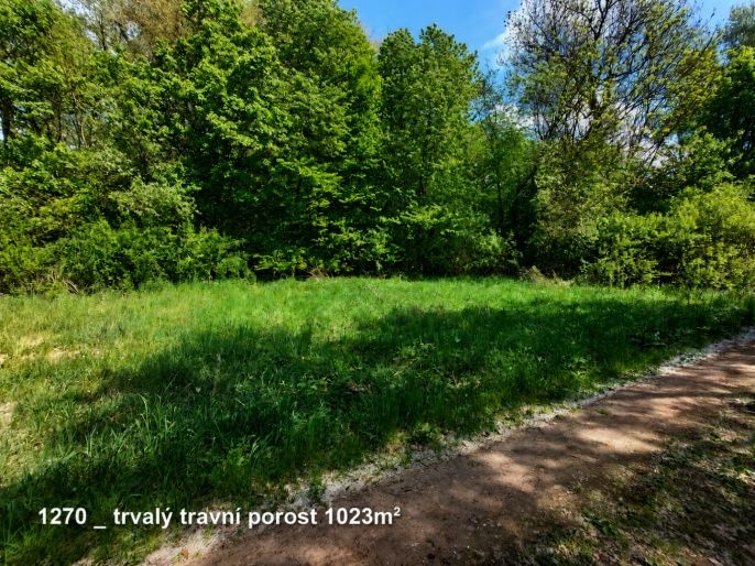 Prodej, Ostatní, Pňov-Předhradí