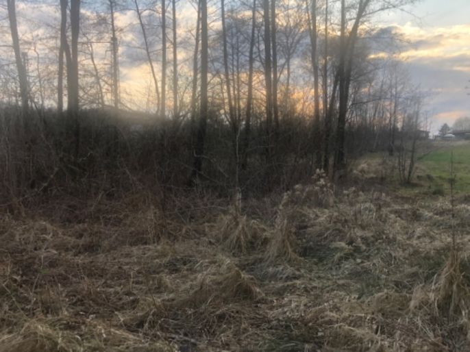 Prodej, Louka, Horní Suchá