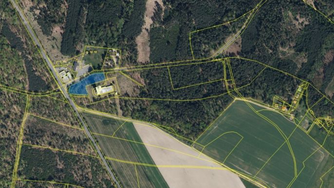 Prodej, Les, Býšť