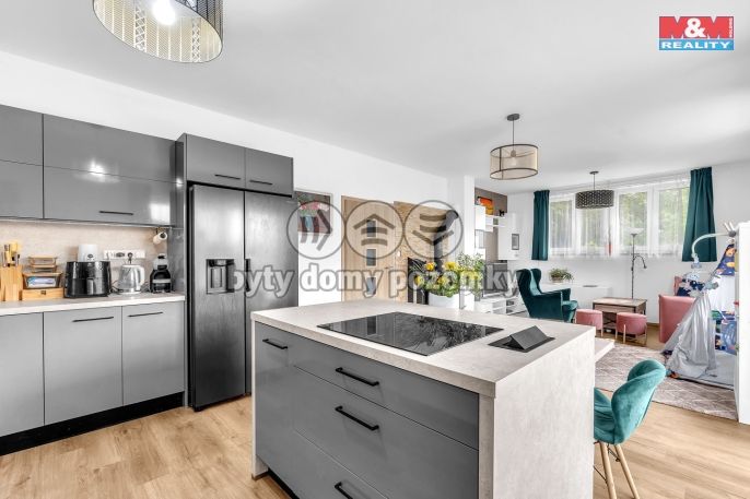 Prodej, Rodinný dům, Vykáň