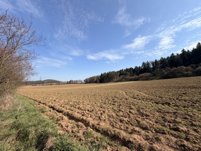 Prodej, Pole, Drevníky