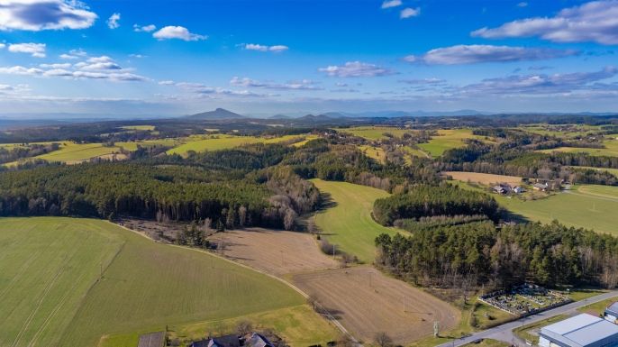 Prodej, Les, Všelibice