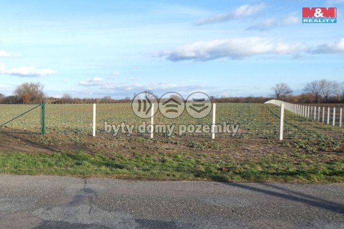 Prodej, Ovocný sad, 18000 m², Nové Dvory