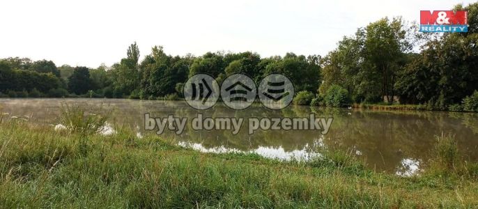 Prodej, Zahrada, Hoštka