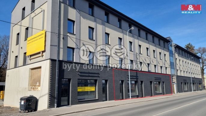 Pronájem, Obchod a služby, Český Těšín