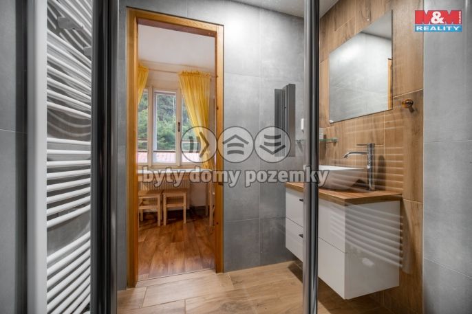 Prodej, Hotel, penzion, Bartošovice v Orlických horách