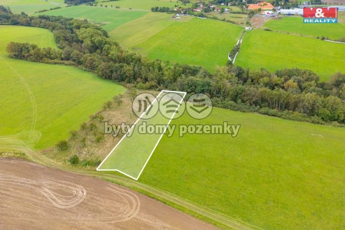 Prodej, Louka, Spálené Poříčí