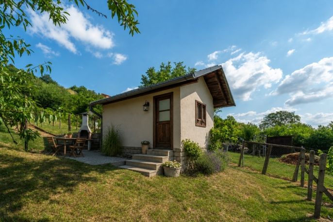 Prodej, Pozemek k bydlení, Viničné Šumice