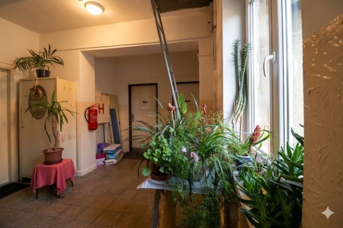 Prodej, Byt 2+1, Karlovy Vary