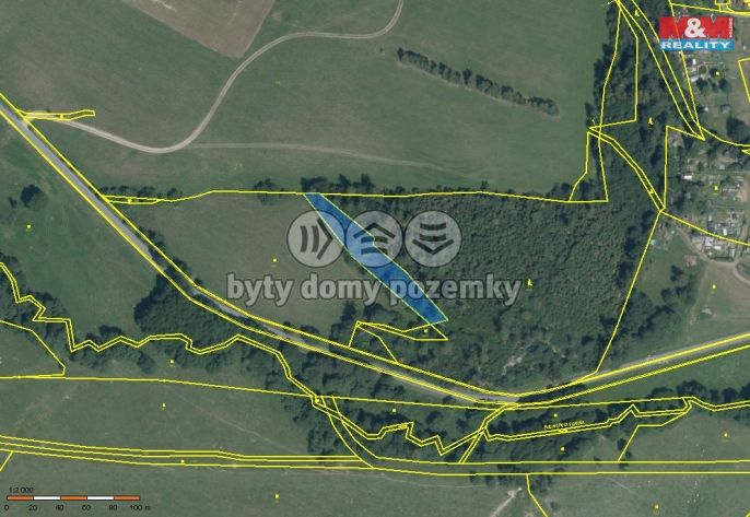 Prodej, Les, Břidličná