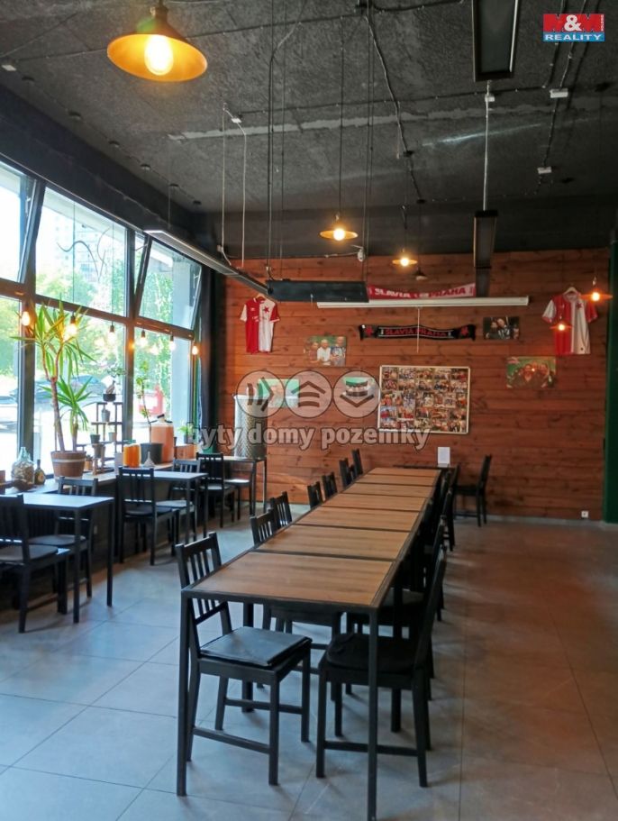 Pronájem, Obchodní objekt, Příbram