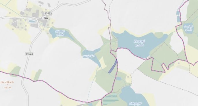 Prodej, Les, Dírná