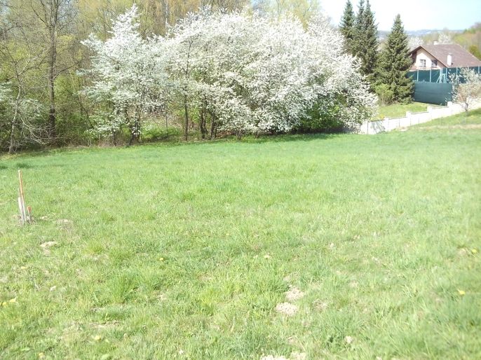 Prodej, Zahrada, Horní Bludovice