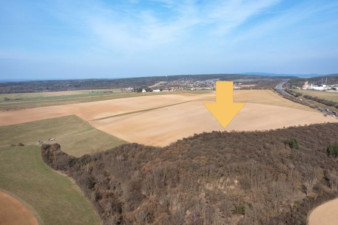 Prodej, Pole, Starý Plzenec