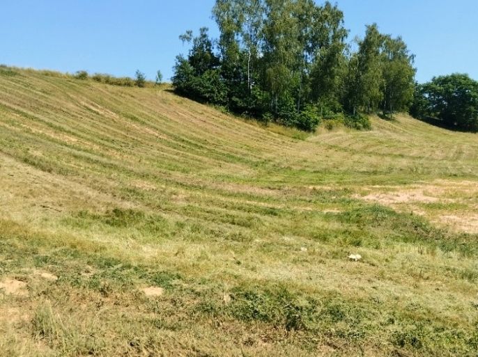 Prodej, Pozemek k bydlení, Svijanský Újezd