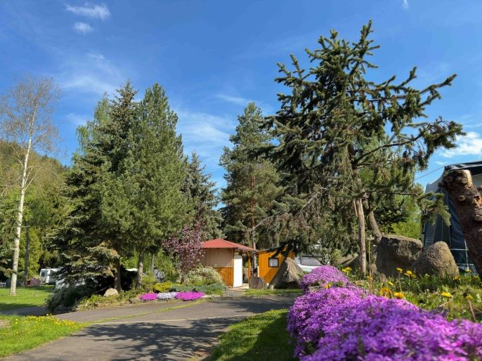 Prodej, Hotel, penzion, Kyselka