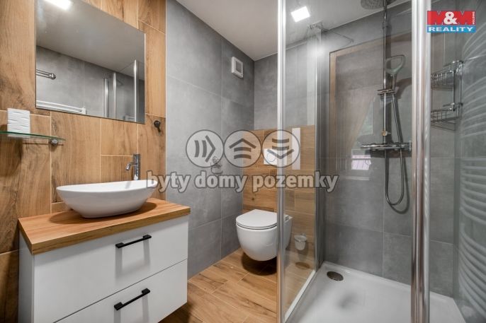 Prodej, Hotel, penzion, Bartošovice v Orlických horách