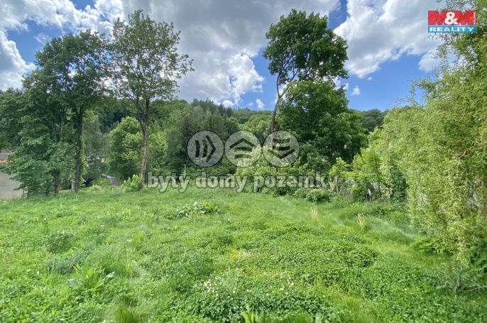 Prodej, Pozemek k bydlení, Mladé Buky