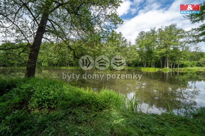 Prodej, Rodinný dům, Zbiroh