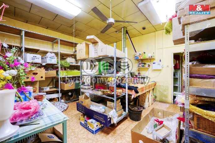 Pronájem, Obchod a služby, Třemošná