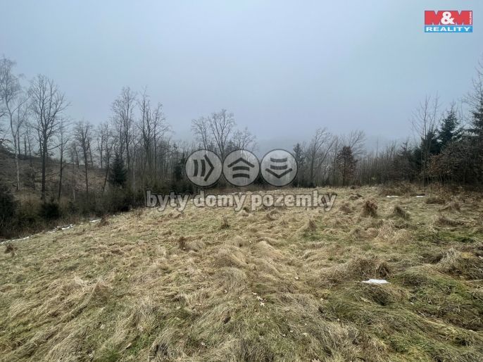 Prodej, Les, Košťálov