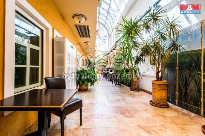 Pronájem, Hotel, penzion, Plzeň