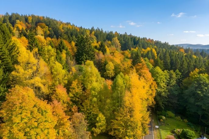 Prodej, Ostatní, Nová Ves nad Nisou